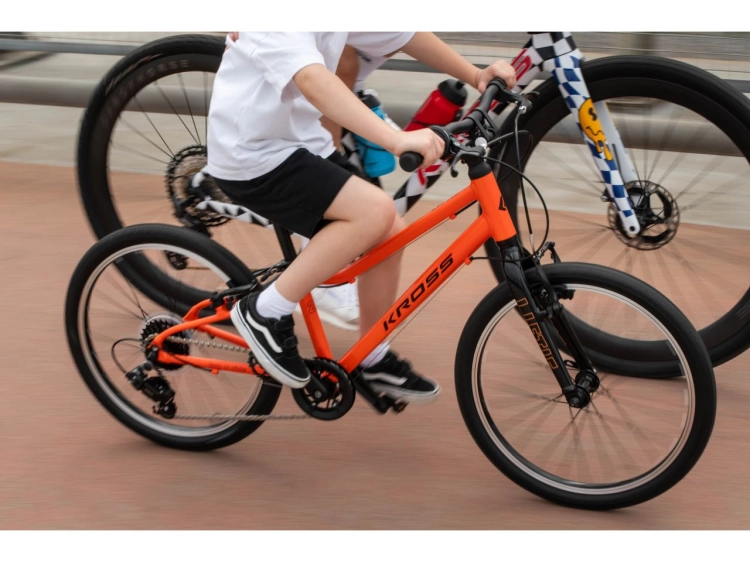 Rower KROSS LIFTIE 20