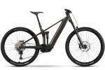 Rower elektryczny Raymon Korak Pro Pipe grey