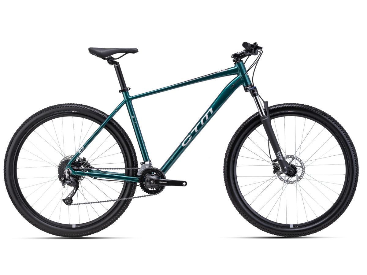 Rower CTM Rein 2.0 zielony