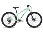 Rower CTM Rocky jump (26') Zielony