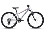Rower CTM Rocky 1.0  ( srebrny )