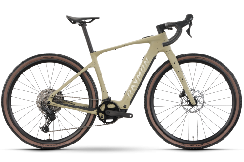 Rower elektryczny R-RAYMON Norza Comp